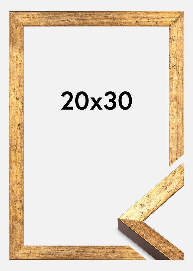 Рамка Dune Акрилно стъкло Злато 20x30 cm