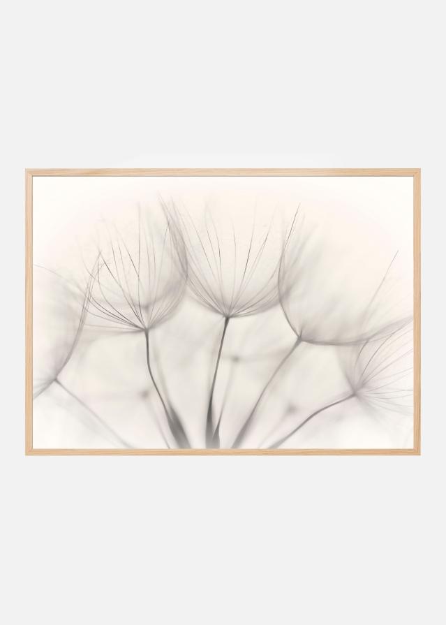 No title Постер