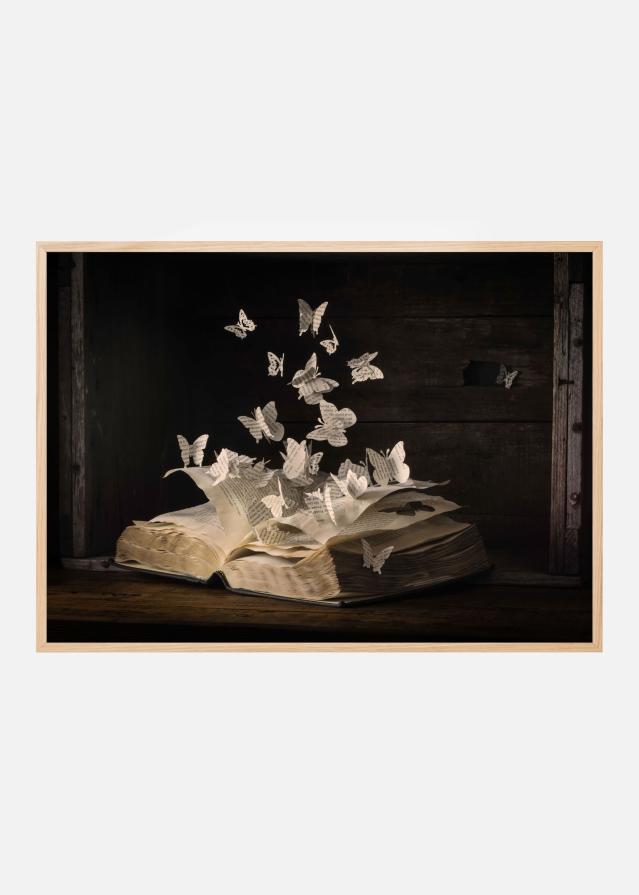 Lepidopterology Постер