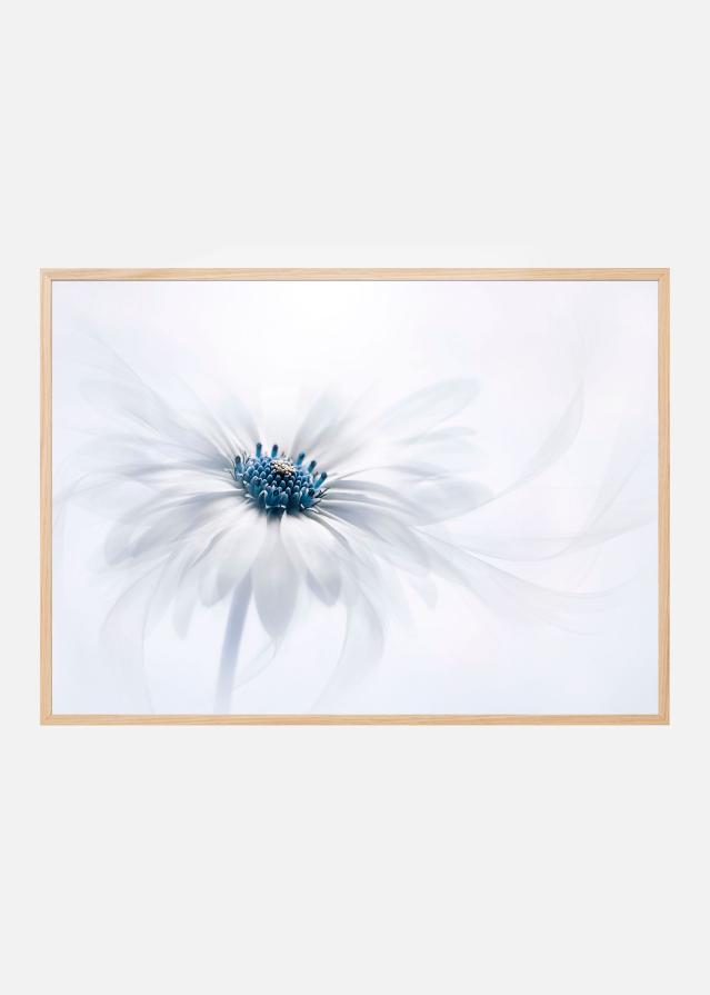 Serenity Постер