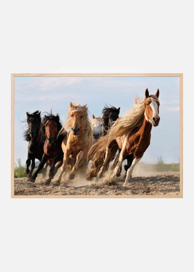 Lucky Six Постер