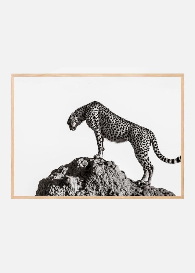 the hunter Постер