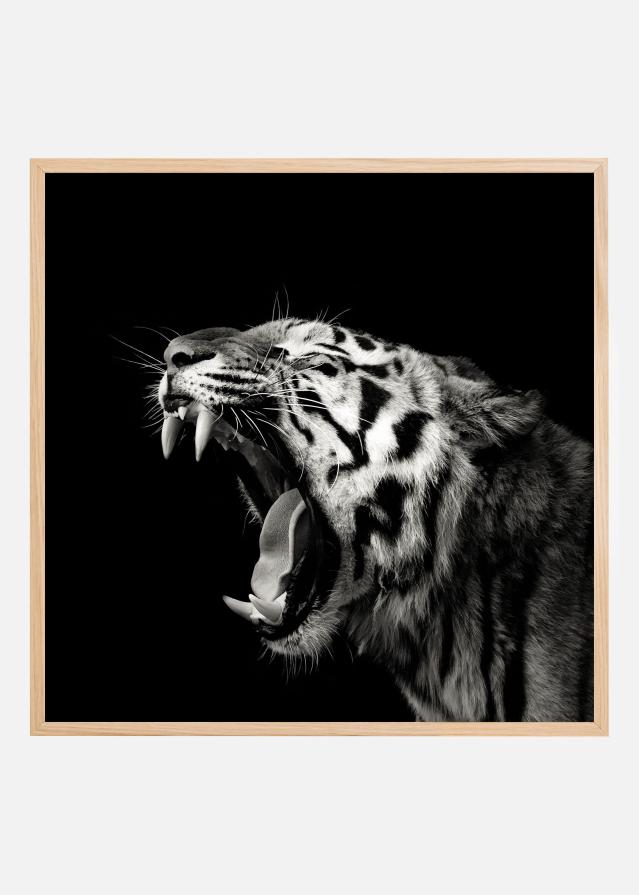 Primal Yawn #4 Постер