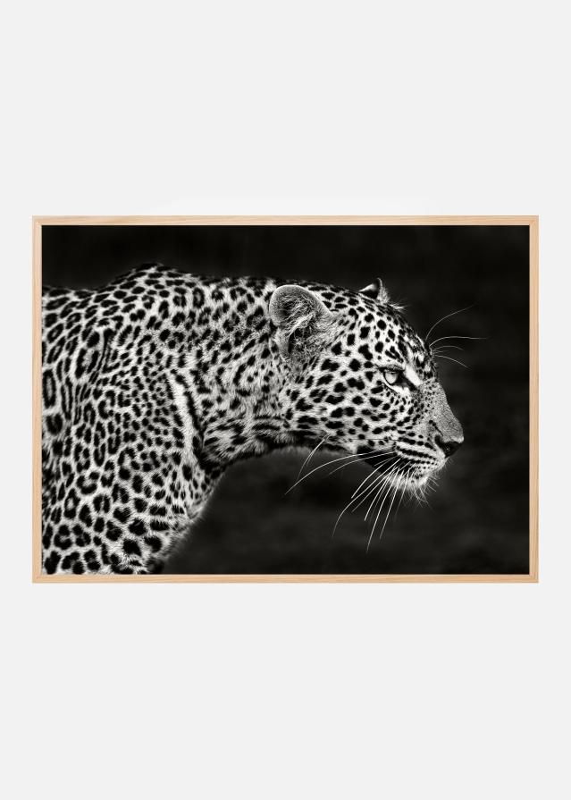 Leopard Close Up Постер