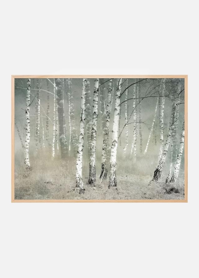 Morning silence Постер