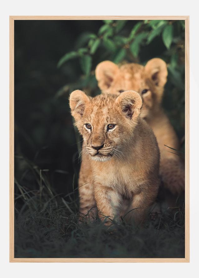 Untitled Постер