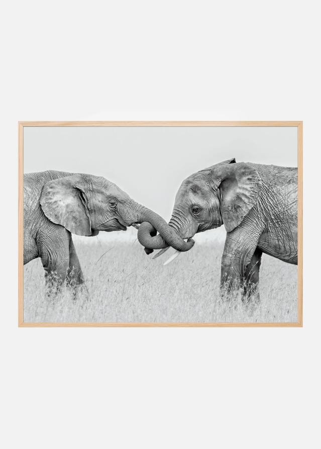 Confrontation Постер