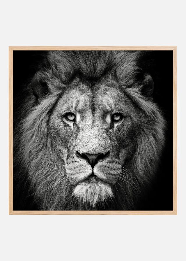 Stare Me Down #3 Постер