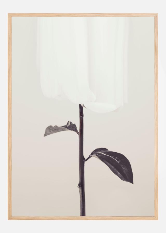 Peony 18 Постер