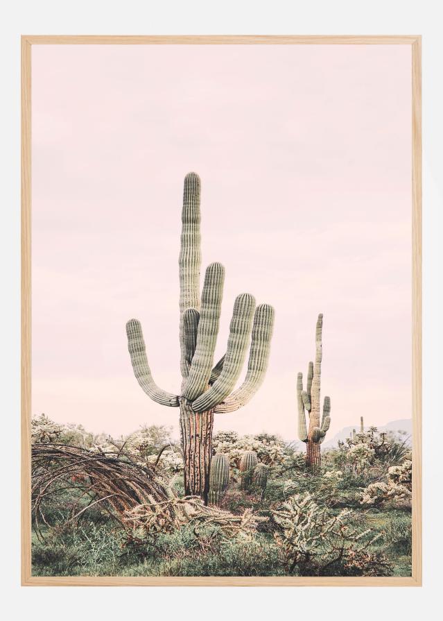 Pink Saguaro Постер