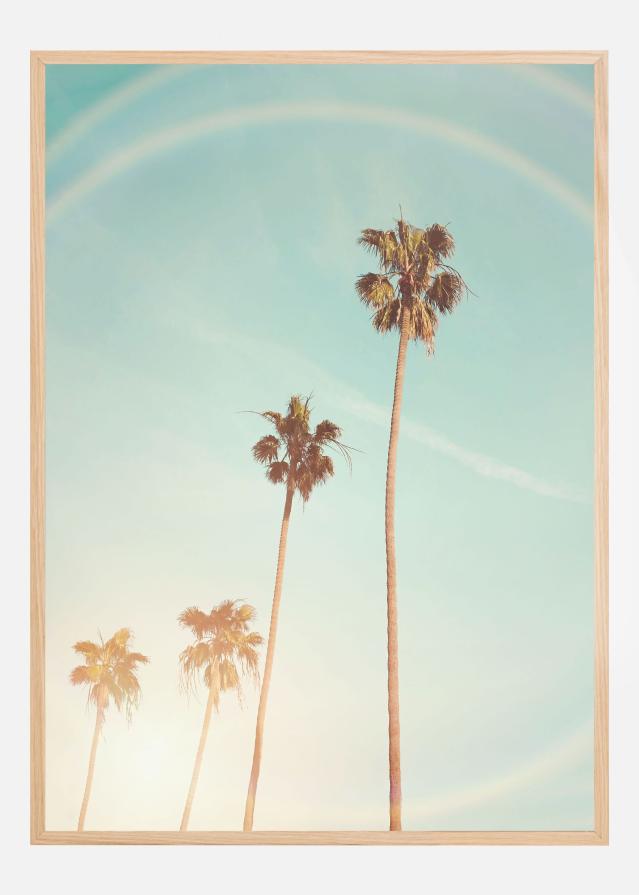 Sunny Cali Palm Tree Постер