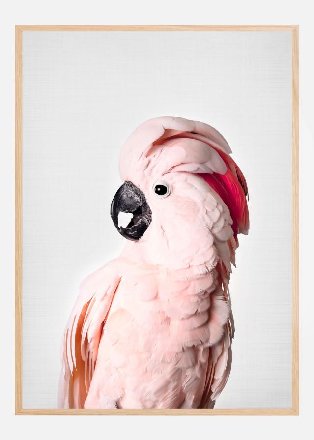 Pink Cockatoo Постер
