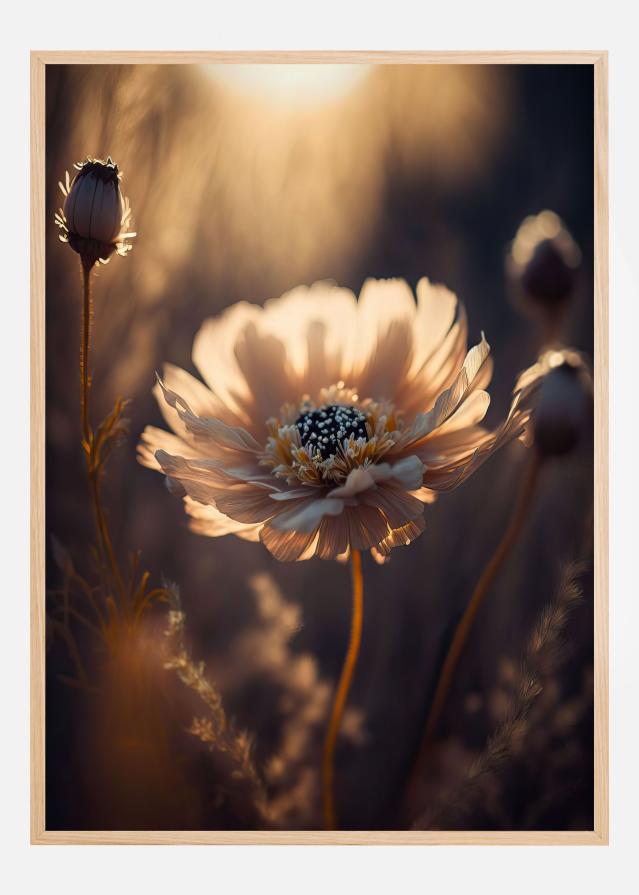 Flower in Morning Sun Постер