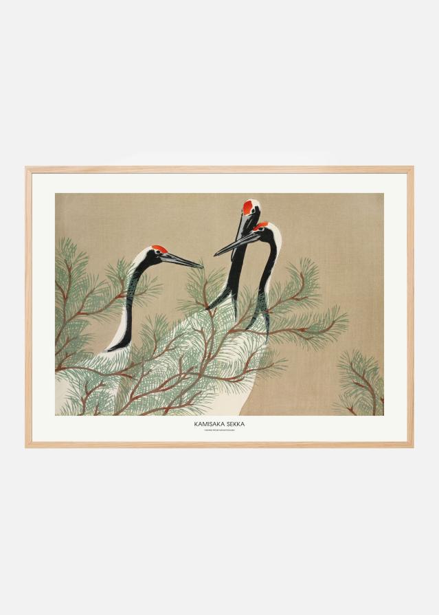 Cranes From Momoyogusa Постер