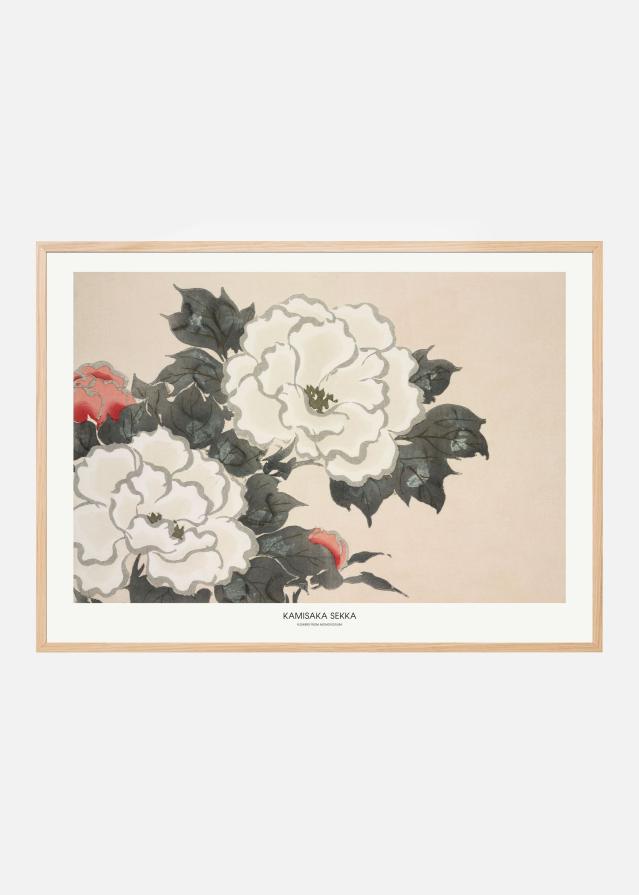 Flowers From Momoyogusa Постер