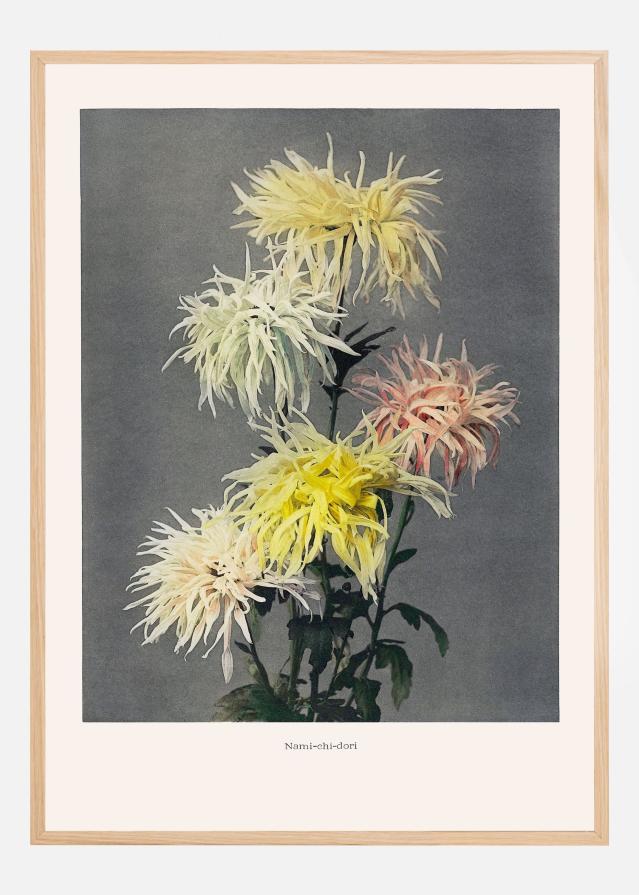 Namiachiadori Постер