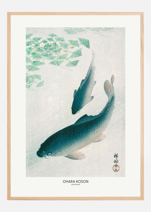 Carp Or Koi Постер