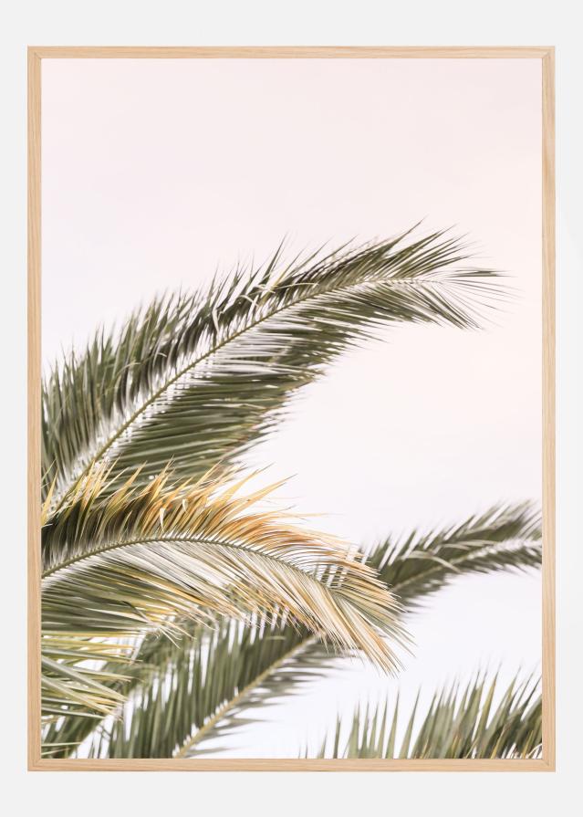 Oasis Palm 03 Постер