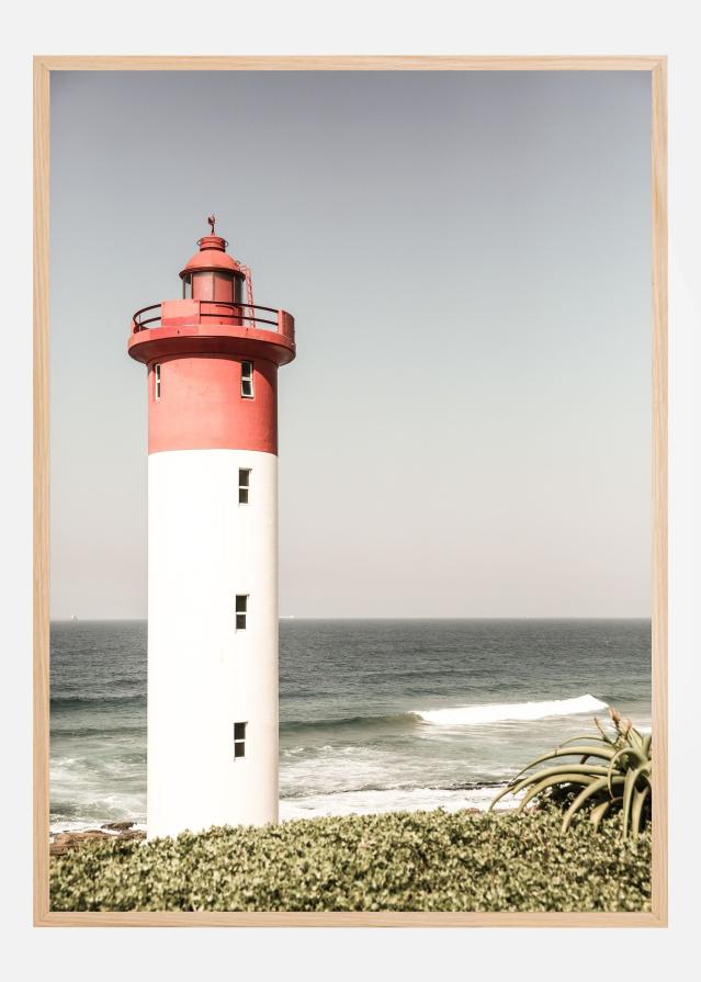 Oyster Box Постер