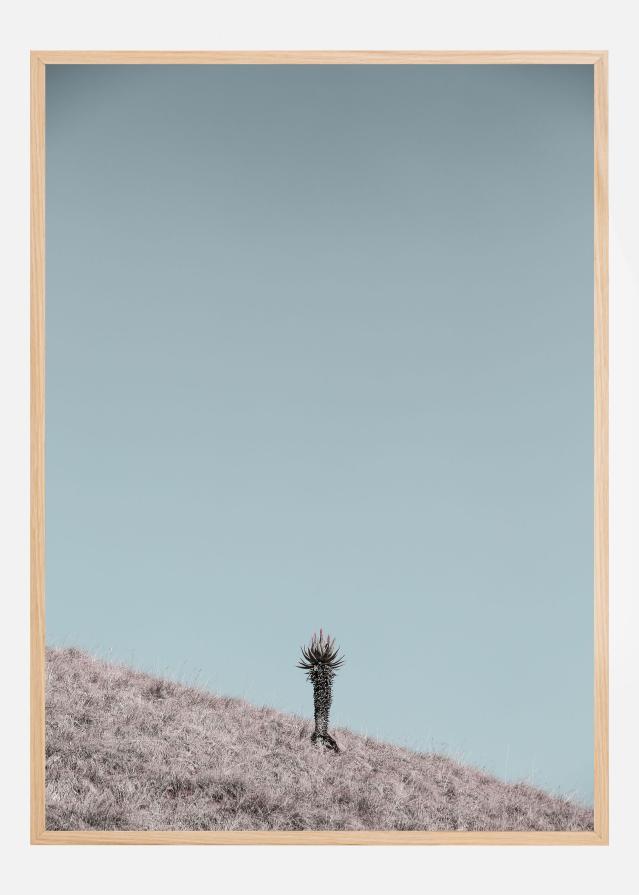 Solider Постер