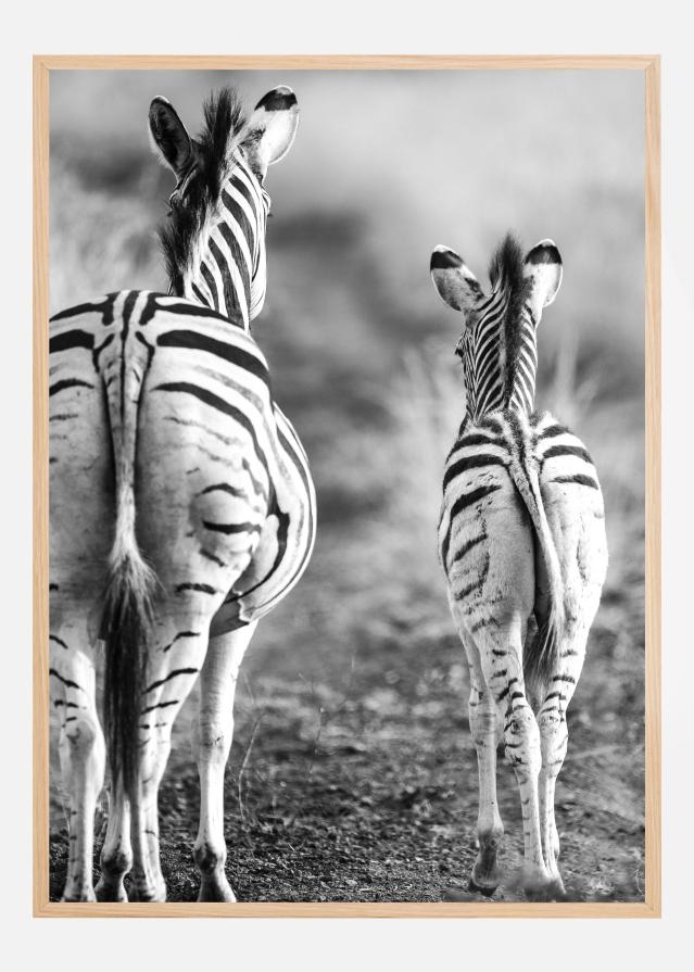 Striped Horse Back Side Постер