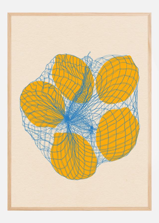 Five Lemons In a Net Bag Постер