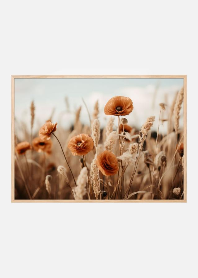 Orange Poppy Field Постер