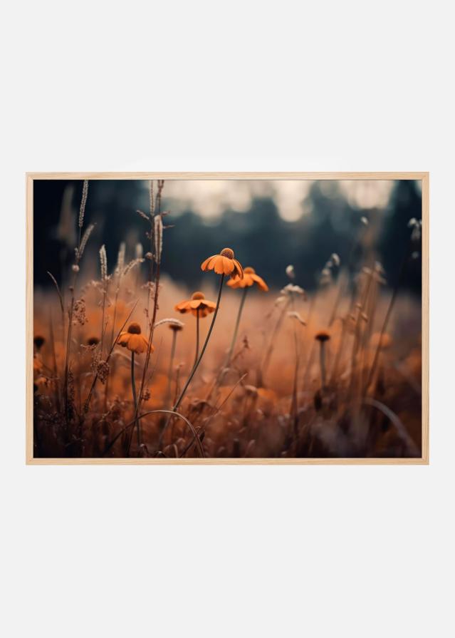 Orange Margarites Постер