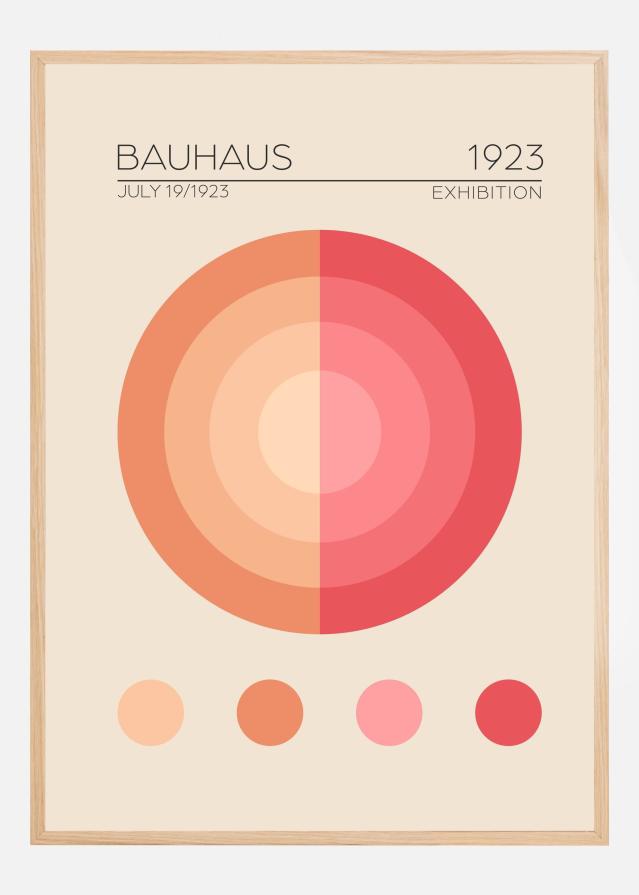 Bauhaus Pembe Daire Постер