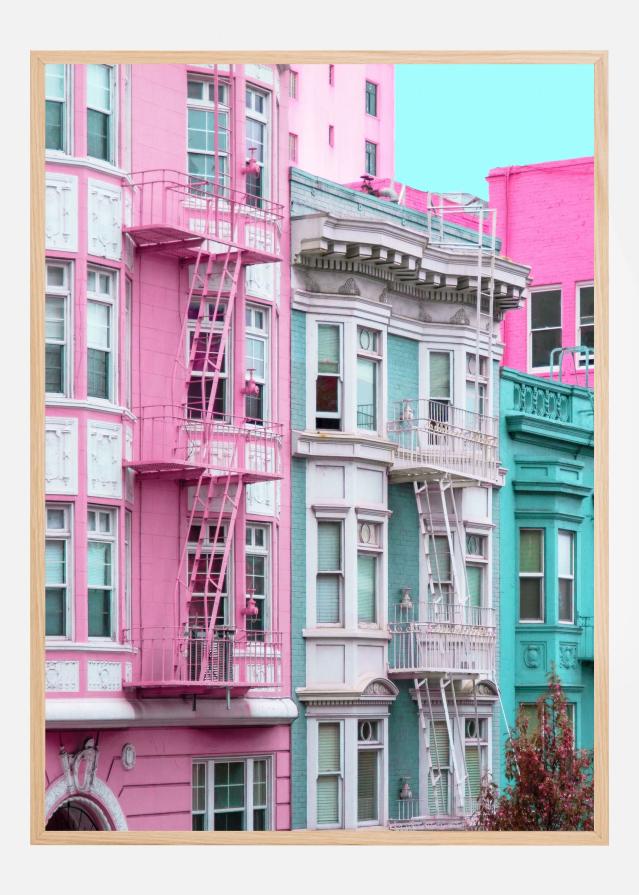 Pink and Blue Row Houses in San Francisco Постер