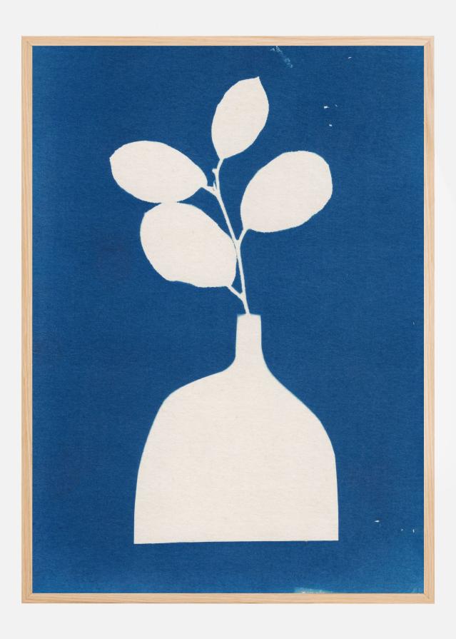 Cyanotype Still Life Studies #2 Постер