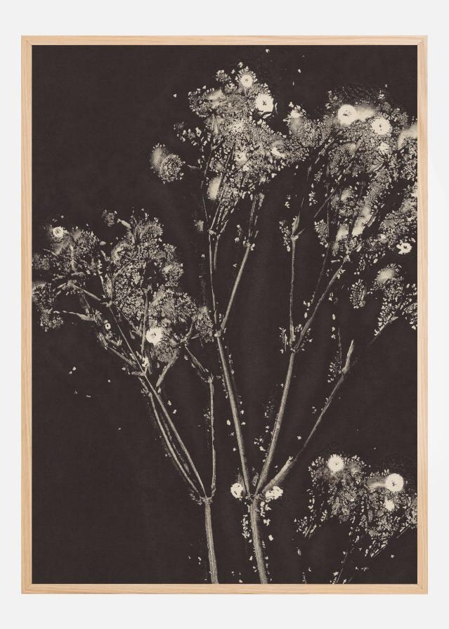 Floral Whispers Постер