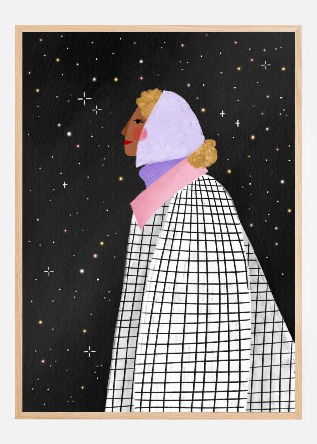 The Lady with the stars Постер