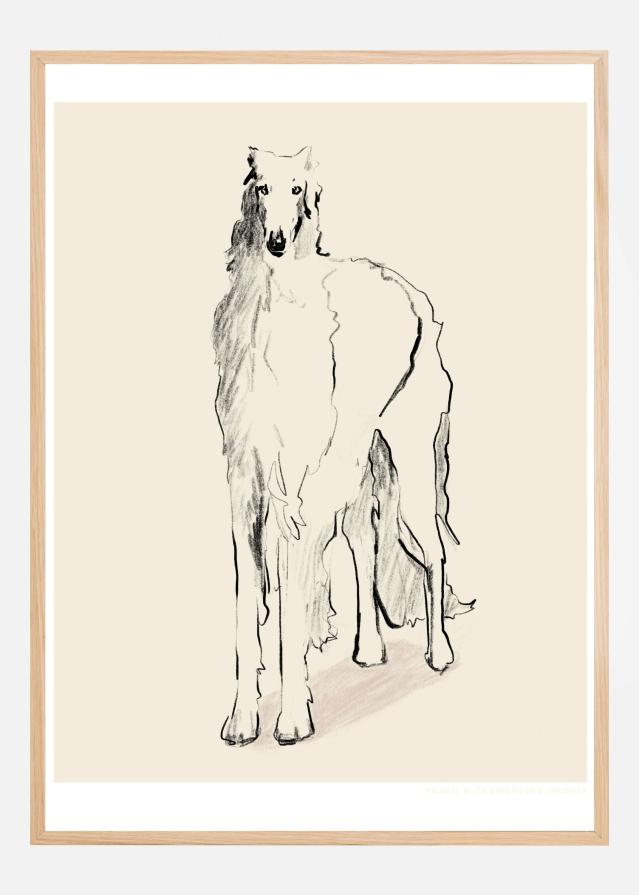 Borzoi Russian Wolfhound Pandc Постер