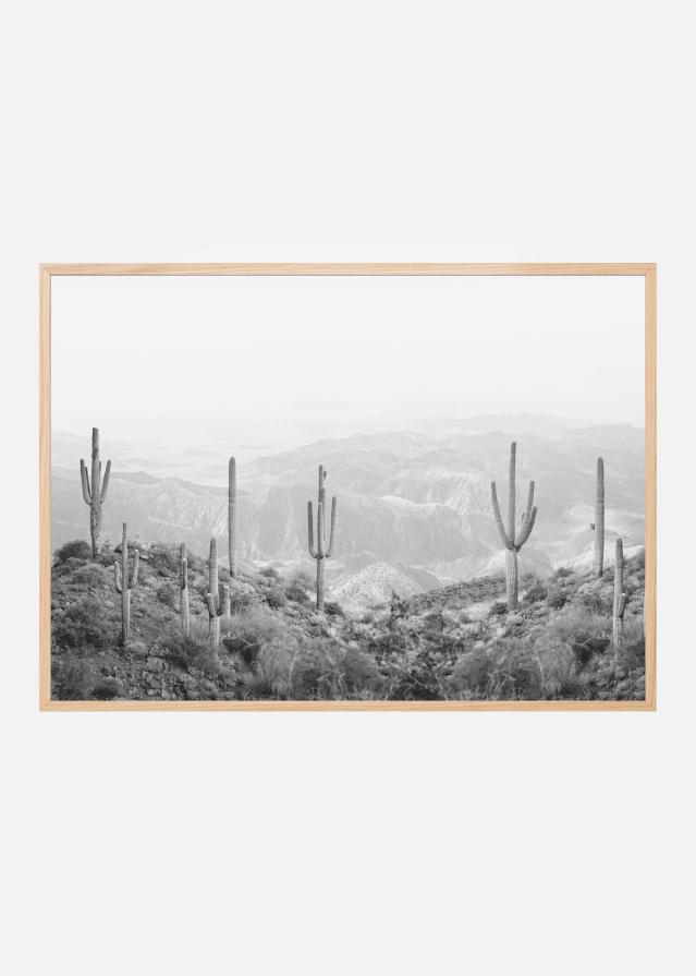 Western Cactus Постер