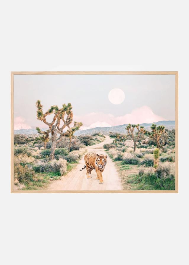 Wandering Tiger Постер