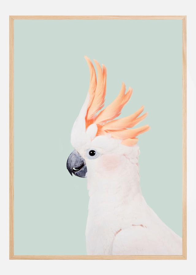 Cockatoo on Mint Постер