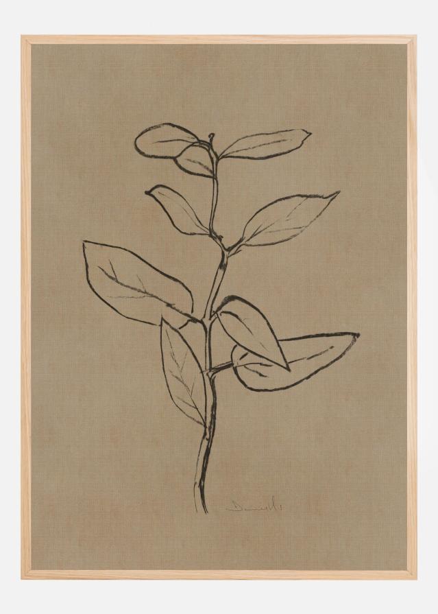 Eucalyptus Sapling Постер