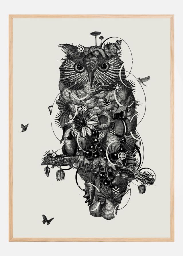 Owl Постер