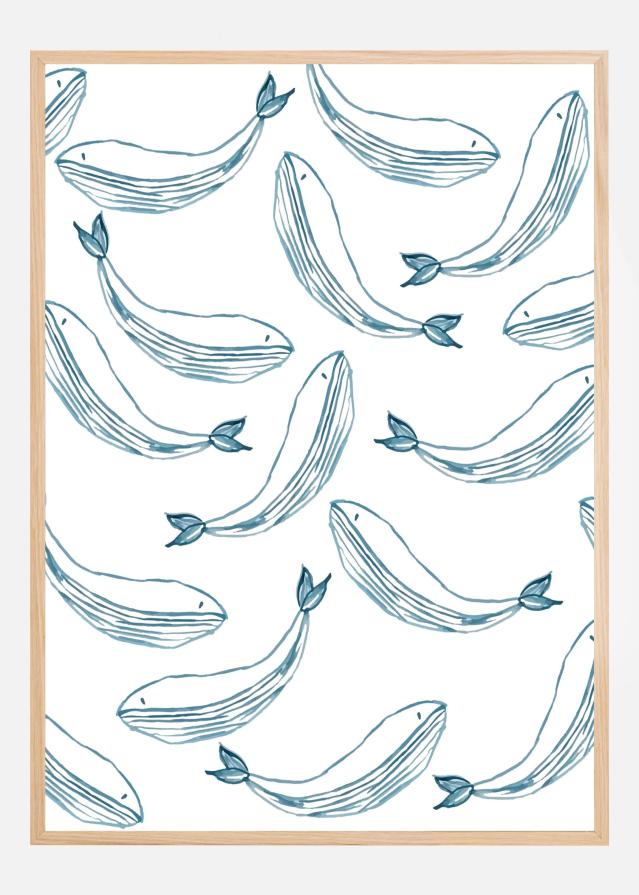 Ballenas Постер