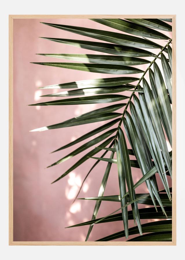 Palm Leaves Постер