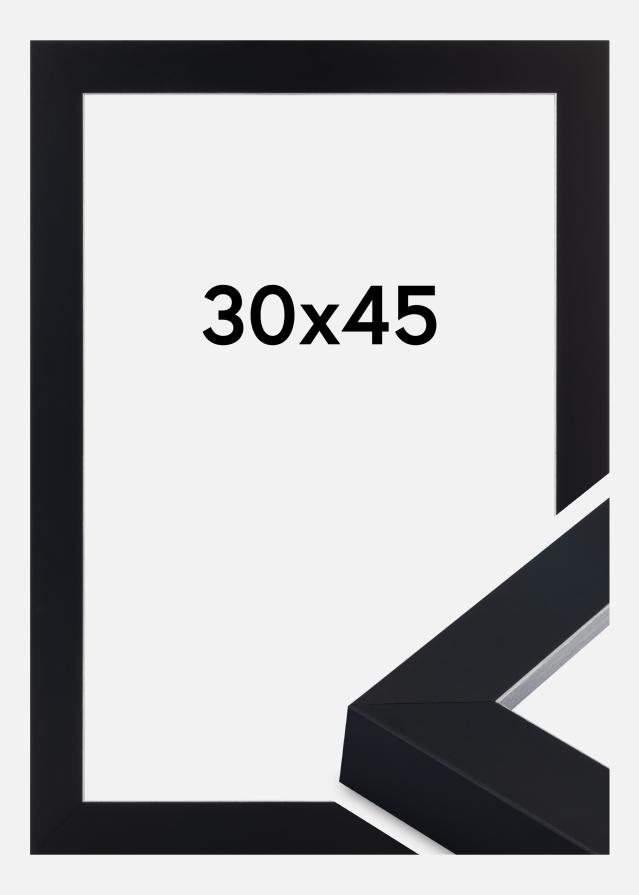 Рамка Sussex Акрилно стъкло Черен/Сребърен 30x45 cm