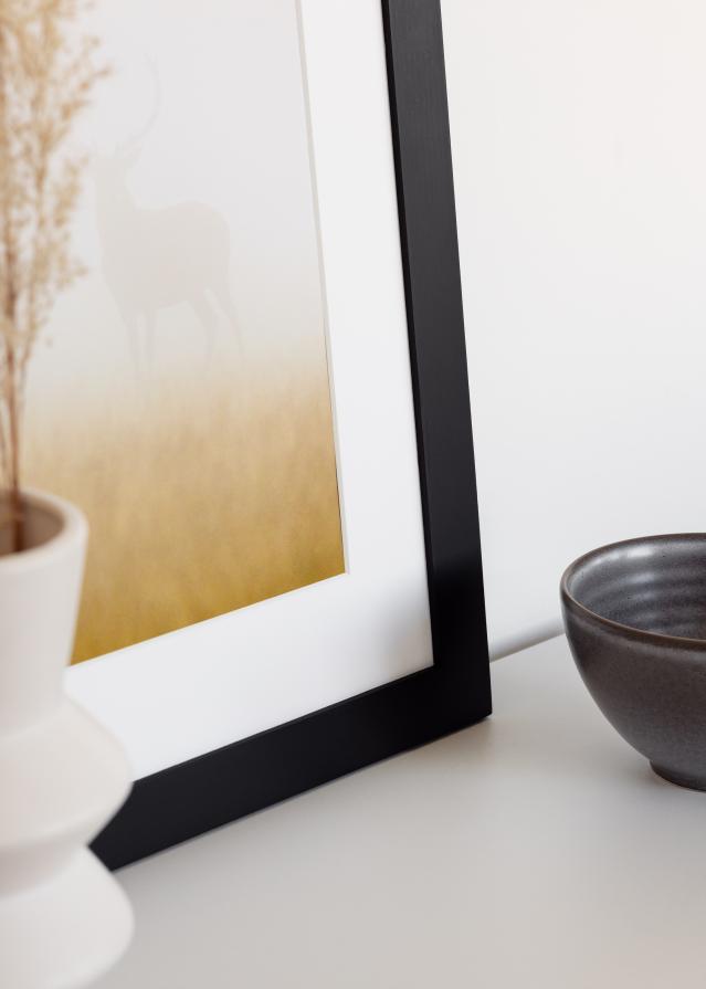 BGA Select Wide Акрилно стъкло Черно 21x29,7 cm (A4)