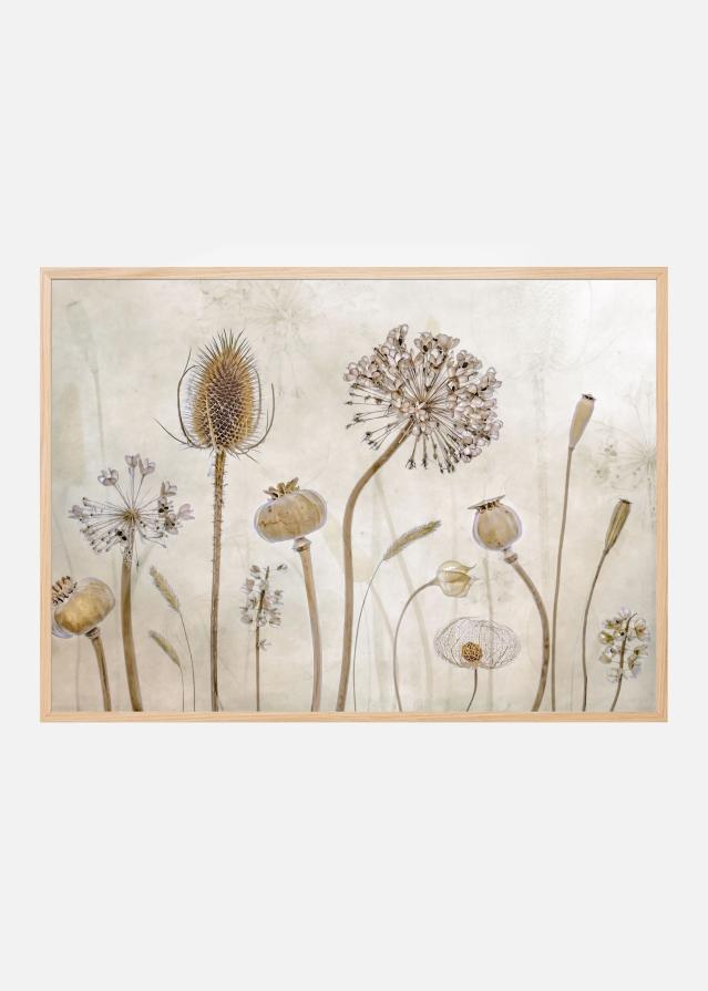 Growing old Постер