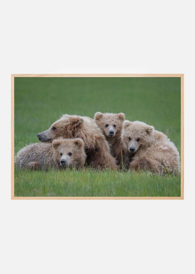 Bear Huddle Постер