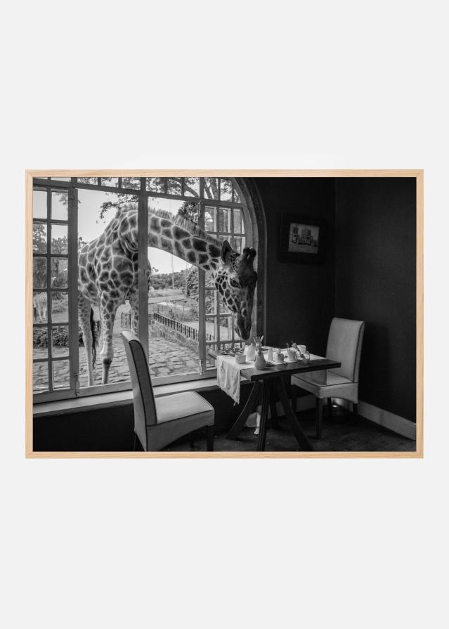 Breakfast time Постер