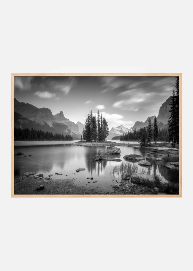 spirit island Постер