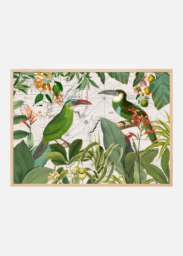 Parrots Nostalgic Journey 3 Постер