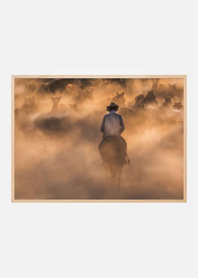 Discipline Постер