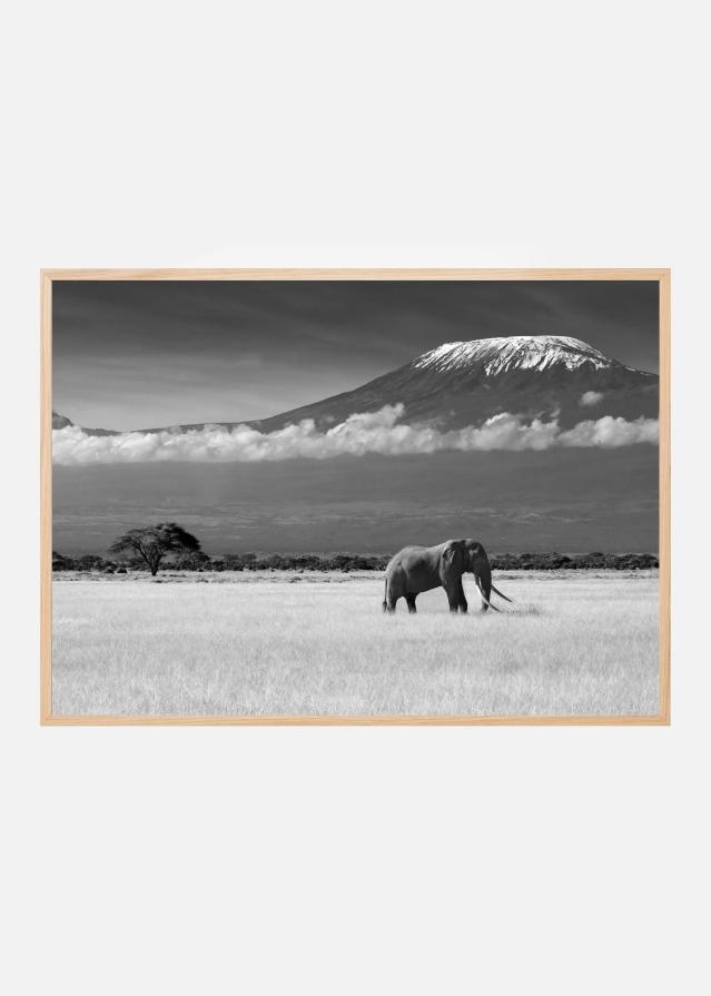 Lost Colors II Постер